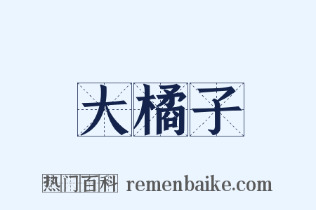 大橘子是什么意思的图片